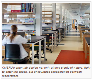 A photo featuring CMSRU's open lab design. This design not only allows plenty of natural light to enter the space, but encourages collaboration between researchers.