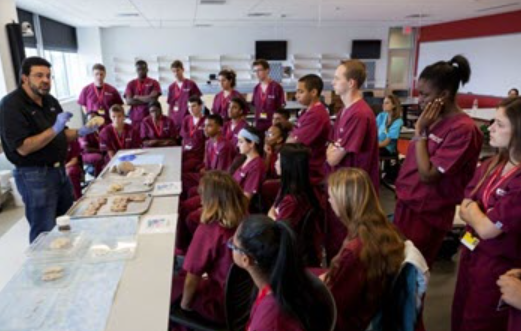 Students learn through hands-on neuroanatomy demonstration.
