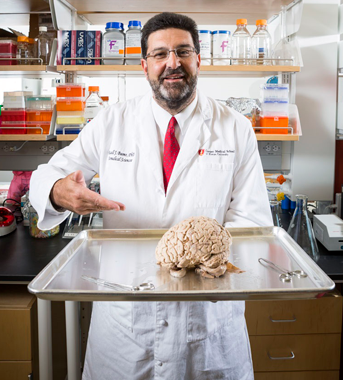 A photo of CMSRU faculty member Russell J. Buono, PhD points to a brain on a tray.