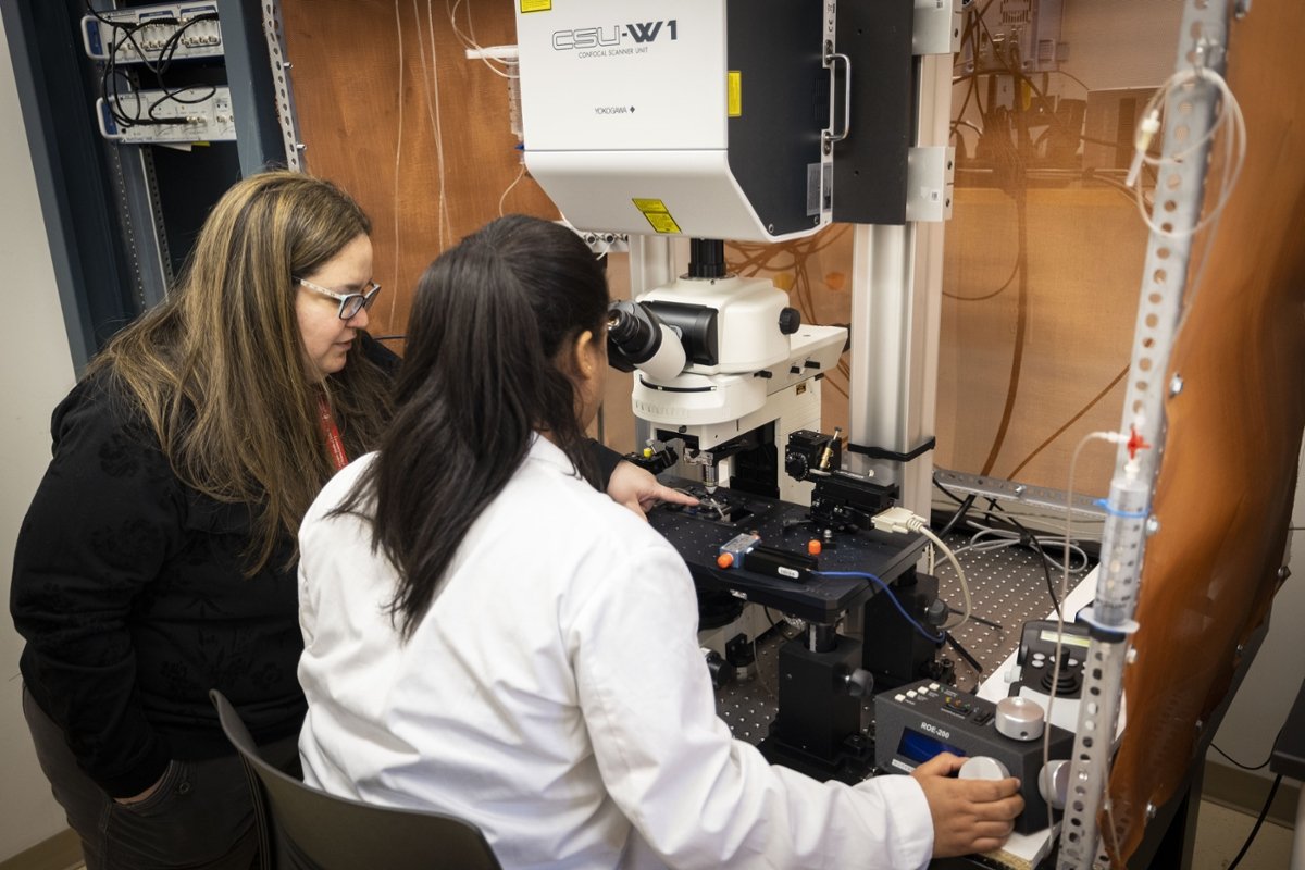 Diana Martinez, PhD, assistant professor of biomedical sciences, works with a student in the lab.