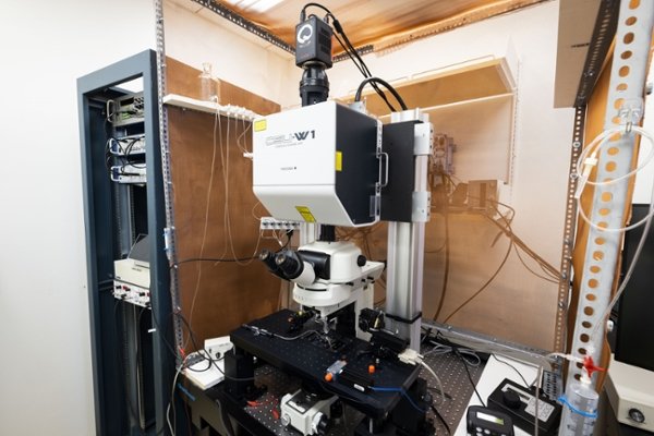 An image featuring the Nikon Upright Spinning Disk Confocal Microscope at CMSRU.